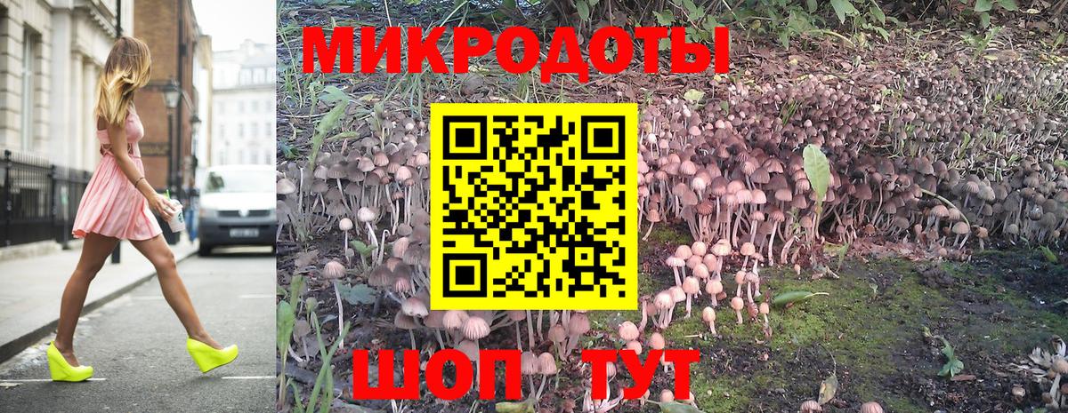 Псилоцибиновые грибы мицелий  Псилоцибиновые грибы Cubensis  Людиново  Вход с VPN 