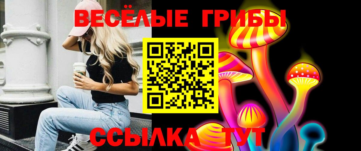 Псилоцибиновые грибы мицелий Людиново